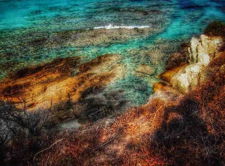 Pourquoi l'eau des Bahamas est claire ?